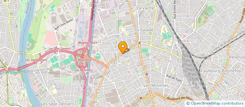 localisation de l'entreprise MADAME CHANCELVY DIVINE LEKOUMOU  TOULOUSE