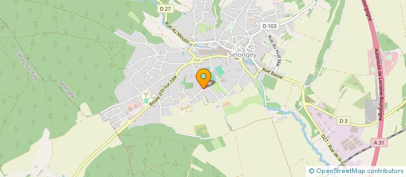 localisation de l'entreprise MADAME CHANTAL BONTEMPS  SELONGEY