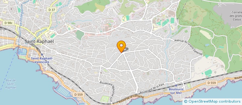 localisation de l'entreprise MADAME CHANTAL BORT  SAINT-RAPHAEL