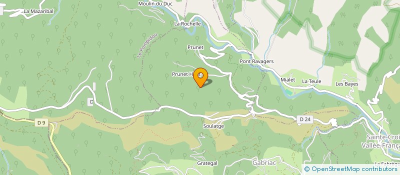 localisation de l'entreprise MADAME CHANTAL CORTOT  MOISSAC-VALLEE-FRANCAISE