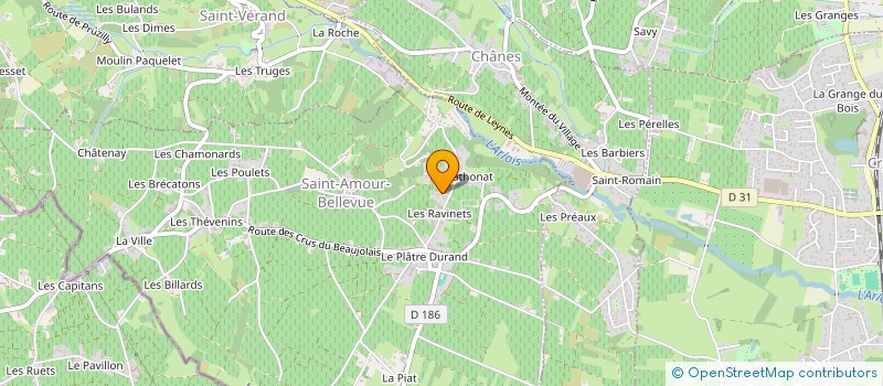 localisation de l'entreprise MADAME CHANTAL COULON  SAINT-AMOUR-BELLEVUE