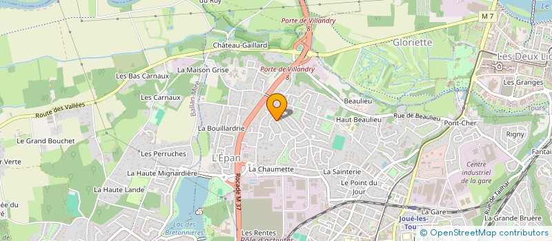 localisation de l'entreprise MADAME CHANTAL DEVALLEE  JOUE-LES-TOURS