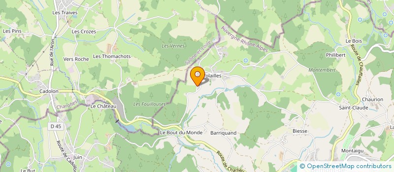 localisation de l'entreprise MADAME CHANTAL JUNET  BELMONT-DE-LA-LOIRE