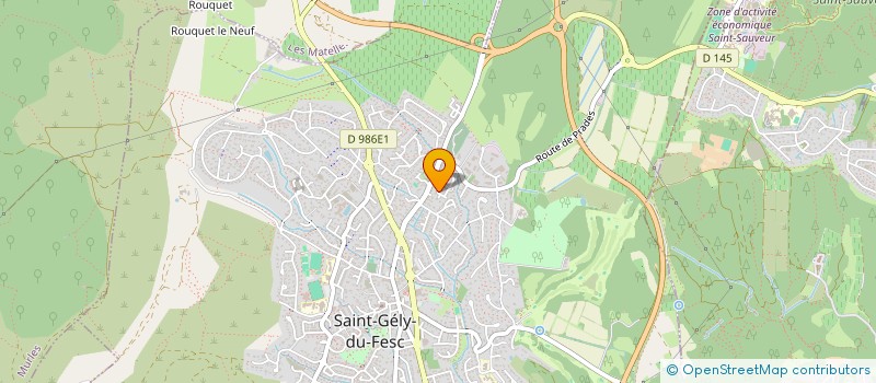 localisation de l'entreprise MADAME CHANTAL LINCELE  SAINT-GELY-DU-FESC