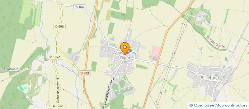 localisation de l'entreprise MADAME CHANTAL MARINET  ASNIERES-LES-DIJON