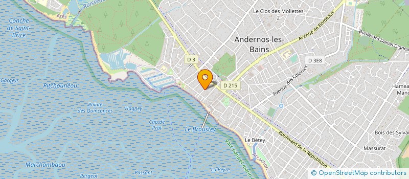 localisation de l'entreprise MADAME CHANTAL PICAZO à ANDERNOS-LES-BAINS