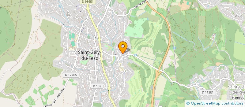 localisation de l'entreprise MADAME CHANTAL POUGET  SAINT-GELY-DU-FESC