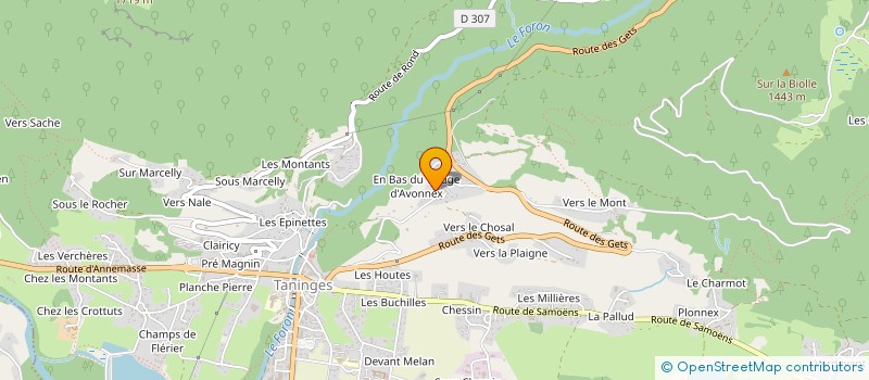 localisation de l'entreprise MADAME CHANTAL RENOUX  TANINGES