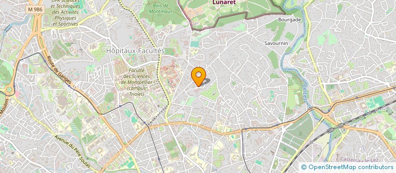 localisation de l'entreprise MADAME CHANTAL RESPAUT à MONTPELLIER