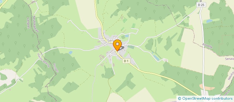 localisation de l'entreprise MADAME CHANTAL RIFFAULT  SENAIDE