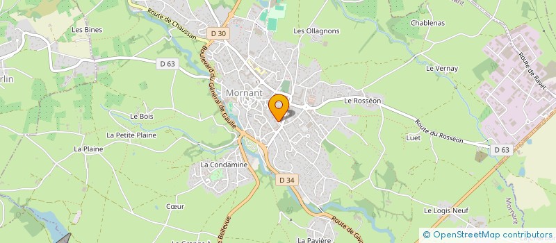 localisation de l'entreprise MADAME CHANTAL RIVIERE à MORNANT