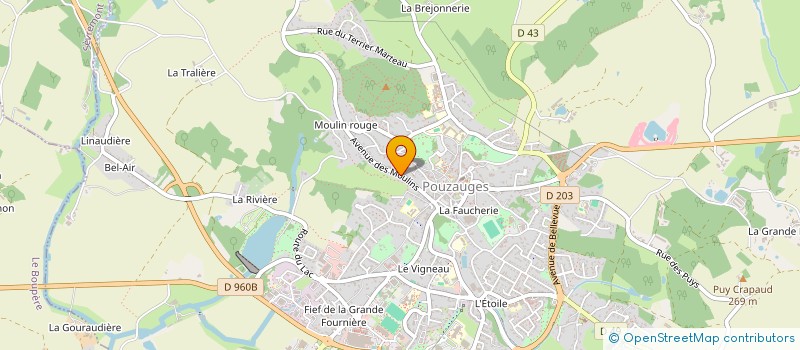 localisation de l'entreprise MADAME CHANTAL ROCHARD  POUZAUGES