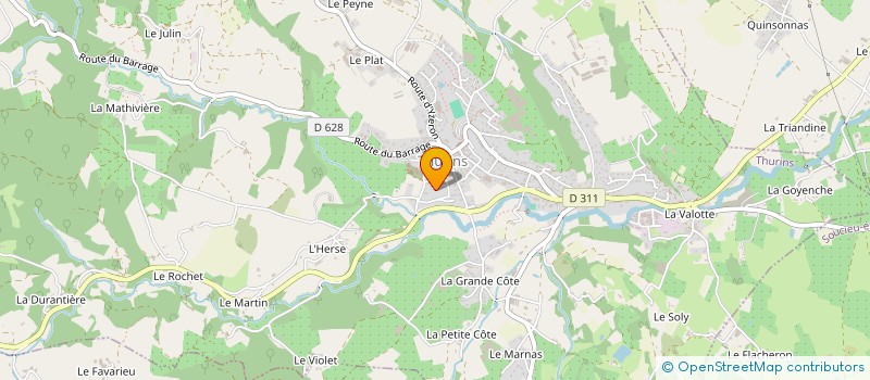 localisation de l'entreprise MADAME CHARLENE CACHELET  THURINS