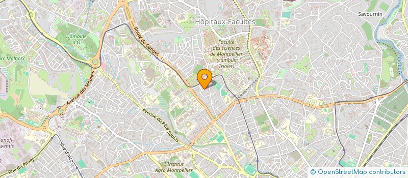 localisation de l'entreprise MADAME CHARLENE DIDON à MONTPELLIER
