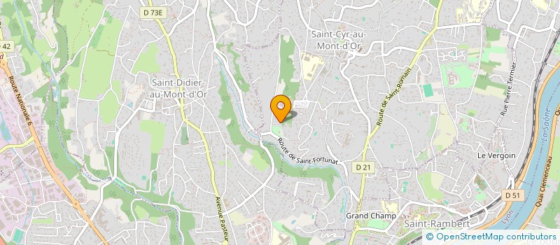 localisation de l'entreprise MADAME CHARLENE GUPA MATSI  SAINT-CYR-AU-MONT-D'OR