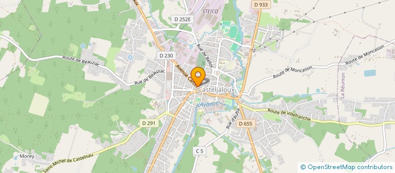 localisation de l'entreprise MADAME CHARLENE PINET  ALLONS