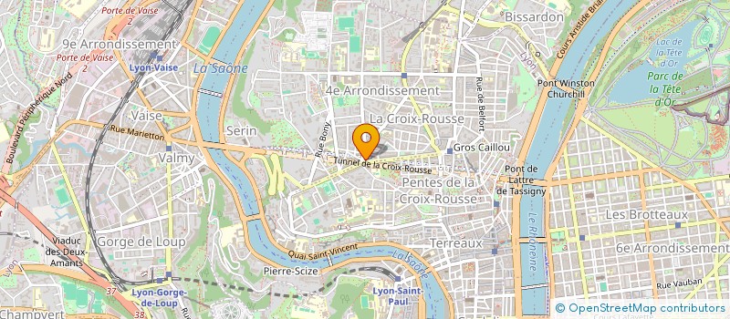 localisation de l'entreprise MADAME CHARLINE PICARD à LYON