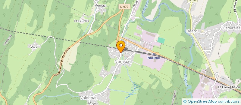 localisation de l'entreprise MADAME CHARLINE PICTON  NURIEUX-VOLOGNAT