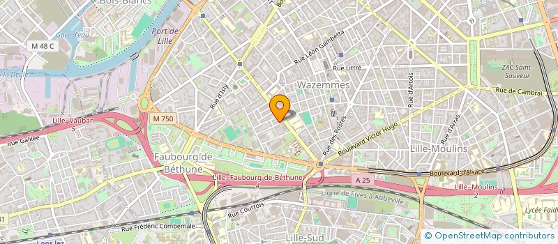 localisation de l'entreprise MADAME CHARLINE RICOUR à LILLE