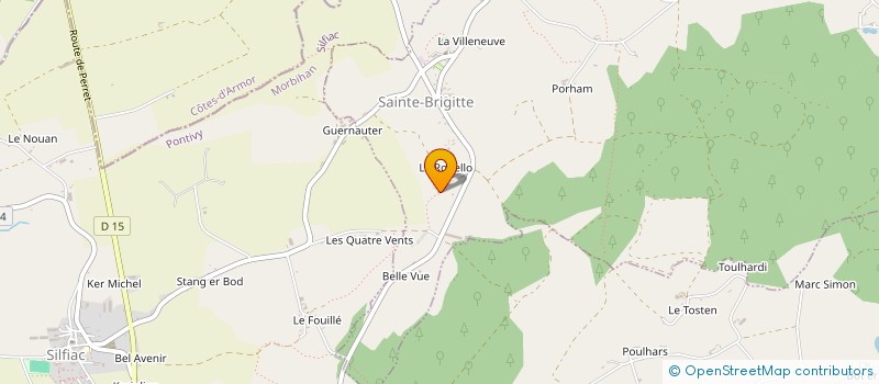 localisation de l'entreprise MADAME CHARLOTTE DEPAEPE à SAINTE-BRIGITTE