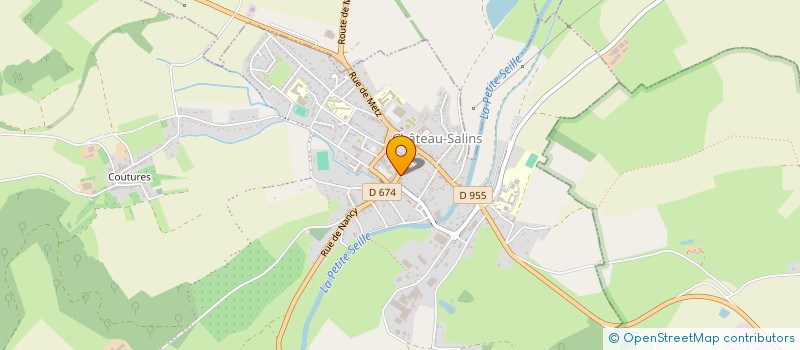 localisation de l'entreprise MADAME CHARLOTTE FISCH  CHATEAU-SALINS