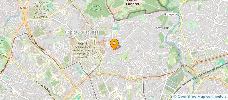 localisation de l'entreprise MADAME CHARLOTTE IENNY à MONTPELLIER