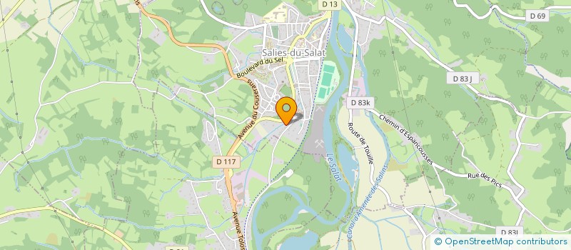 localisation de l'entreprise MADAME CHARLOTTE LUCIANI  SALIES-DU-SALAT