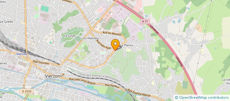 localisation de l'entreprise MADAME CHARLOTTE MARTIN  VIERZON