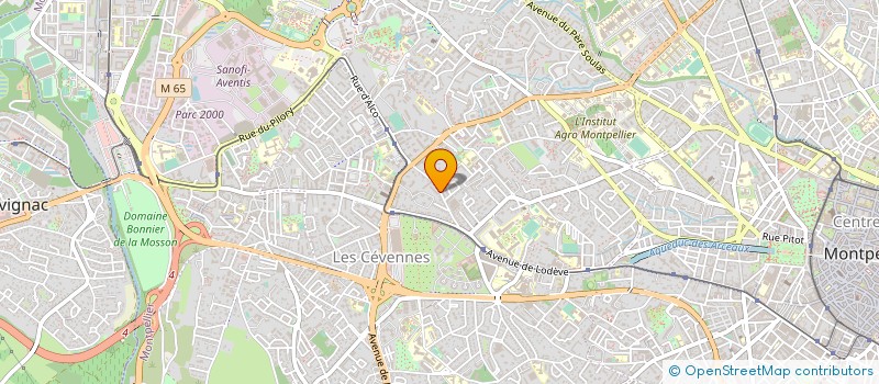 localisation de l'entreprise MADAME CHAYMA EL YOUSSFI à MONTPELLIER