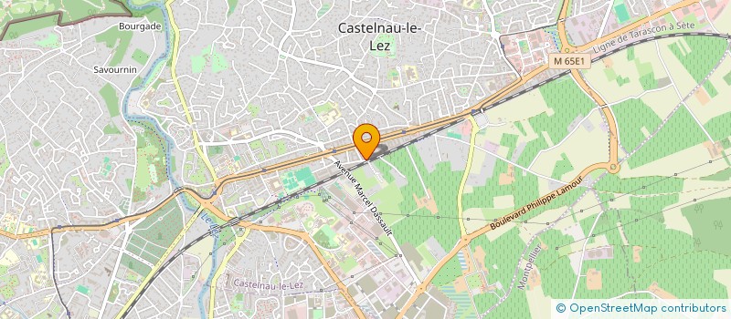 localisation de l'entreprise MADAME CHEYMA NASSIRI à CASTELNAU-LE-LEZ