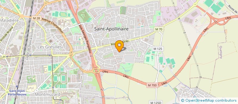 localisation de l'entreprise MADAME CHISATO MIYAHARA  SAINT-APOLLINAIRE