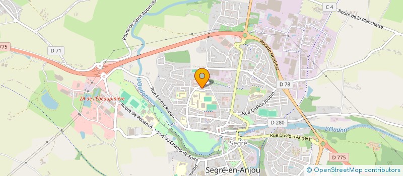 localisation de l'entreprise MADAME CHISLAINE BESANCON  SEGRE-EN-ANJOU BLEU