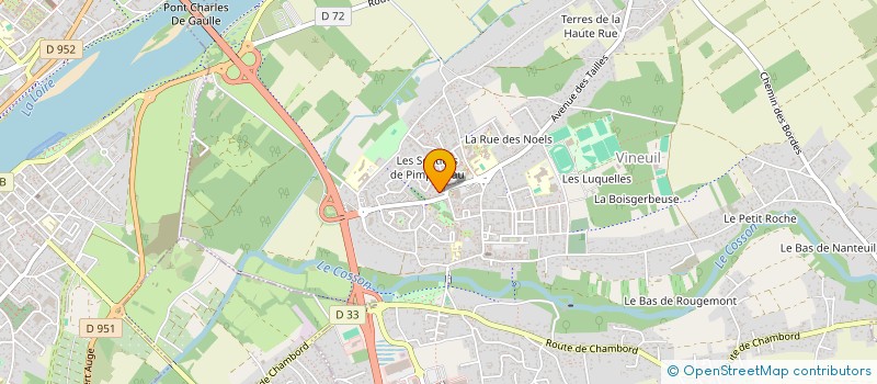 localisation de l'entreprise MADAME CHISTINA BULIMAC à VINEUIL