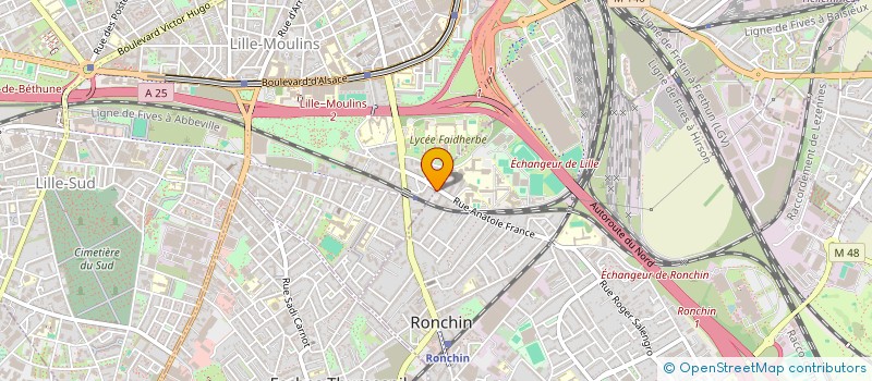 localisation de l'entreprise MADAME CHIVAROL MEGNENG ME NSA à LILLE