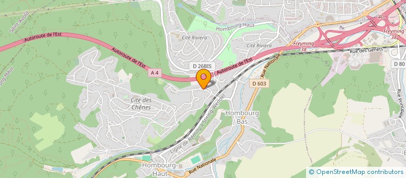 localisation de l'entreprise MADAME CHLOE BOUR  SAINT-AVOLD