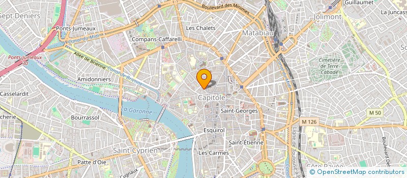 localisation de l'entreprise MADAME CHLOE FOUCAULT  TOULOUSE