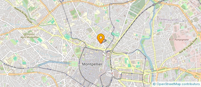 localisation de l'entreprise MADAME CHLOE LLAMAS à MONTPELLIER