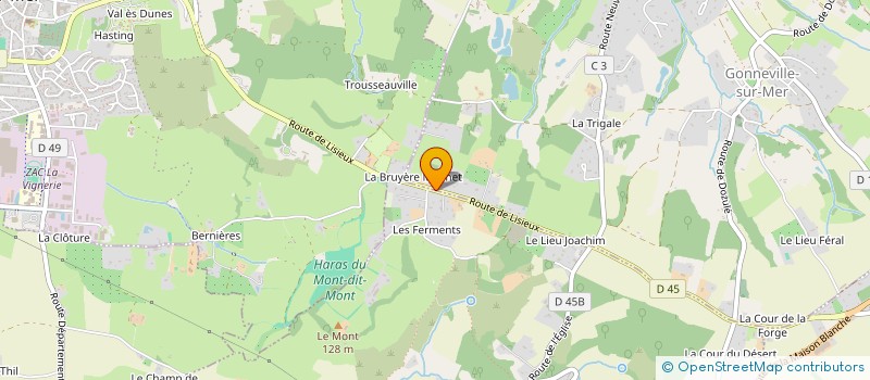 localisation de l'entreprise MADAME CHLOE MOULINET  GONNEVILLE-SUR-MER