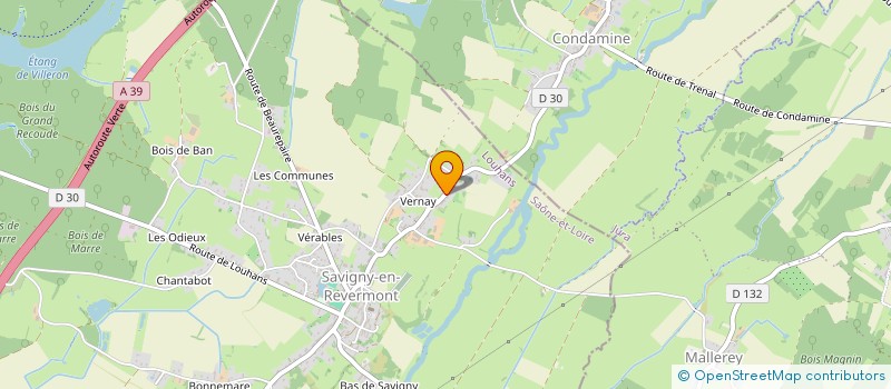 localisation de l'entreprise MADAME CHLOE ROTH  SAVIGNY-EN-REVERMONT