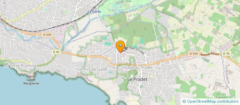 localisation de l'entreprise MADAME CHLOE RULIERE  LE PRADET