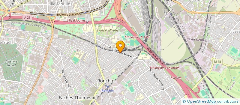 localisation de l'entreprise MADAME CHLOE SCHLESINGER  RONCHIN