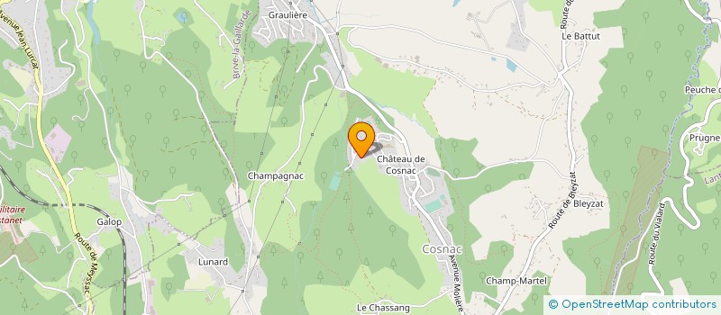 localisation de l'entreprise MADAME CHRIS TROCH  COSNAC