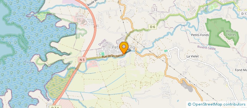 localisation de l'entreprise MADAME CHRISLAINE CELIMENE  RIVIERE-SALEE