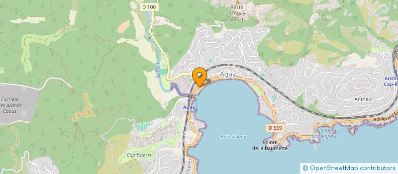 localisation de l'entreprise MADAME CHRISTEL ADRIANSEN  SAINT-RAPHAEL