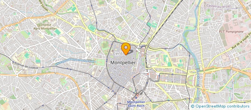 localisation de l'entreprise MADAME CHRISTEL CHAMBAUDET à MONTPELLIER
