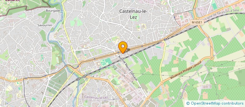 localisation de l'entreprise MADAME CHRISTEL FINANCE à CASTELNAU-LE-LEZ