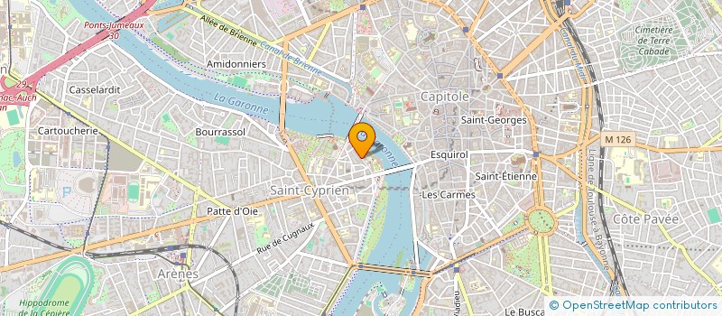 localisation de l'entreprise MADAME CHRISTEL SCHWANENGEL à TOULOUSE