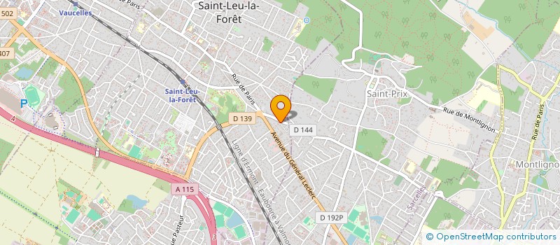 localisation de l'entreprise MADAME CHRISTEL TRIQUET  SAINT-LEU-LA-FORET