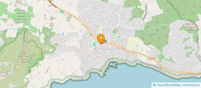 localisation de l'entreprise MADAME CHRISTEL VIGNES  CARQUEIRANNE