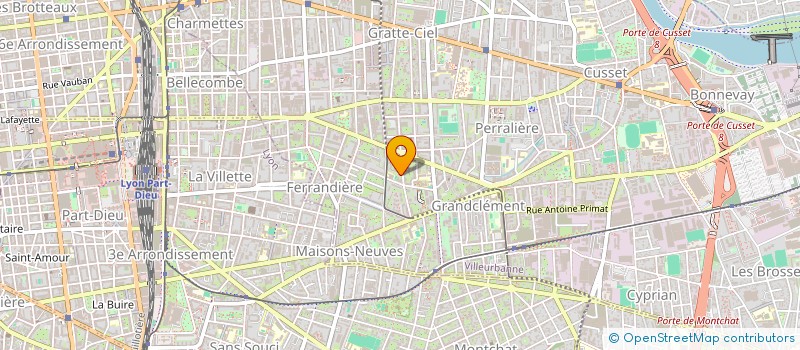 localisation de l'entreprise MADAME CHRISTELE DOS SANTOS  VILLEURBANNE